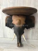 Панно голова Слона 34*35 см, дерево тик